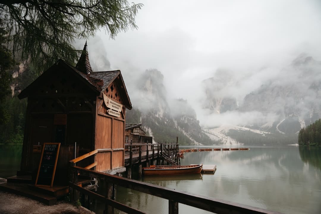 mc子龙是什么梗